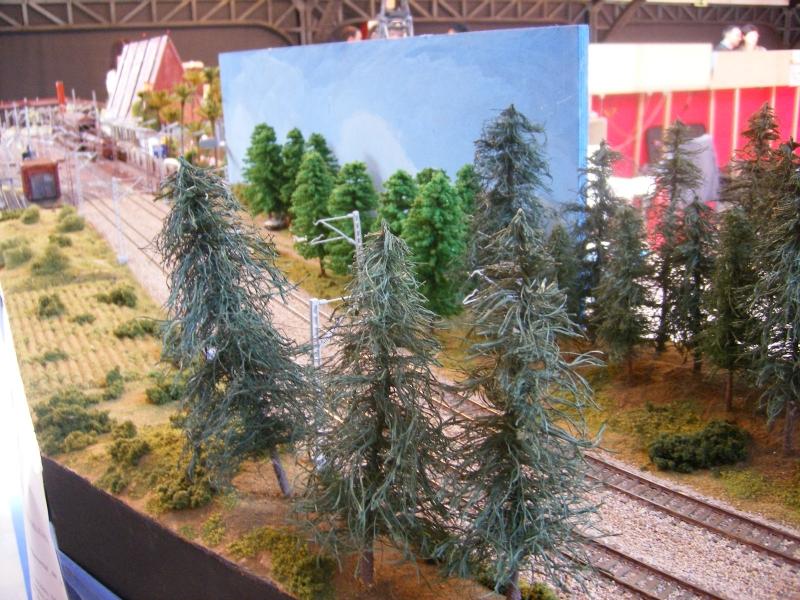 Foto_011.JPG
